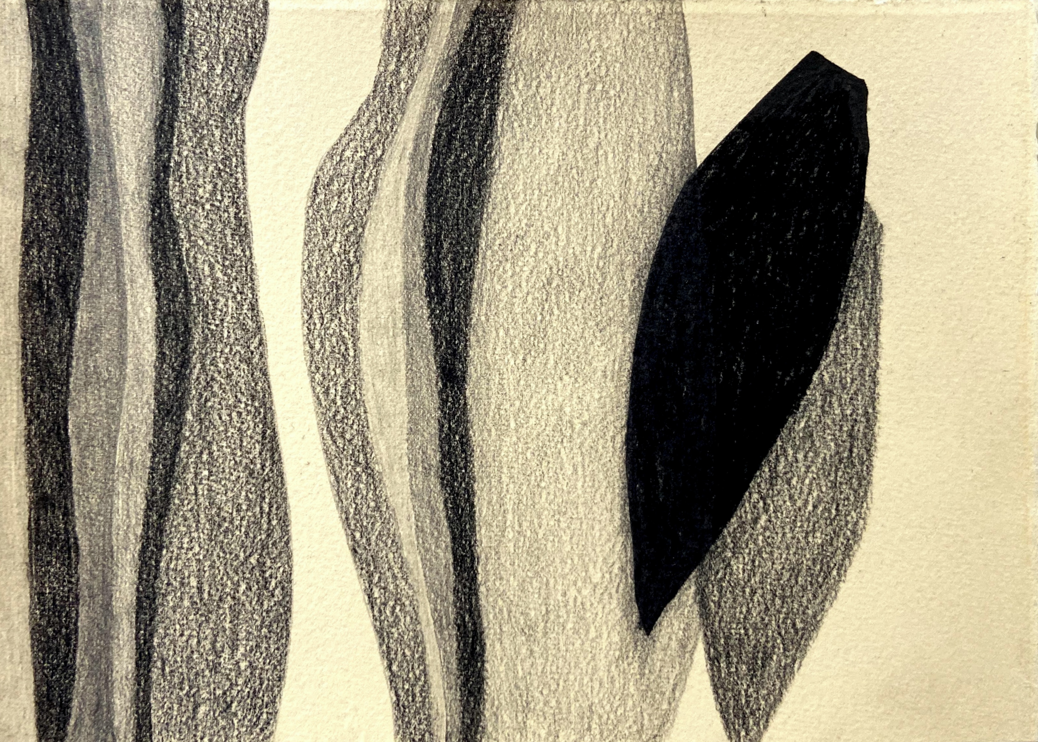 Study on paper with intricate linear markings and pigment washes.