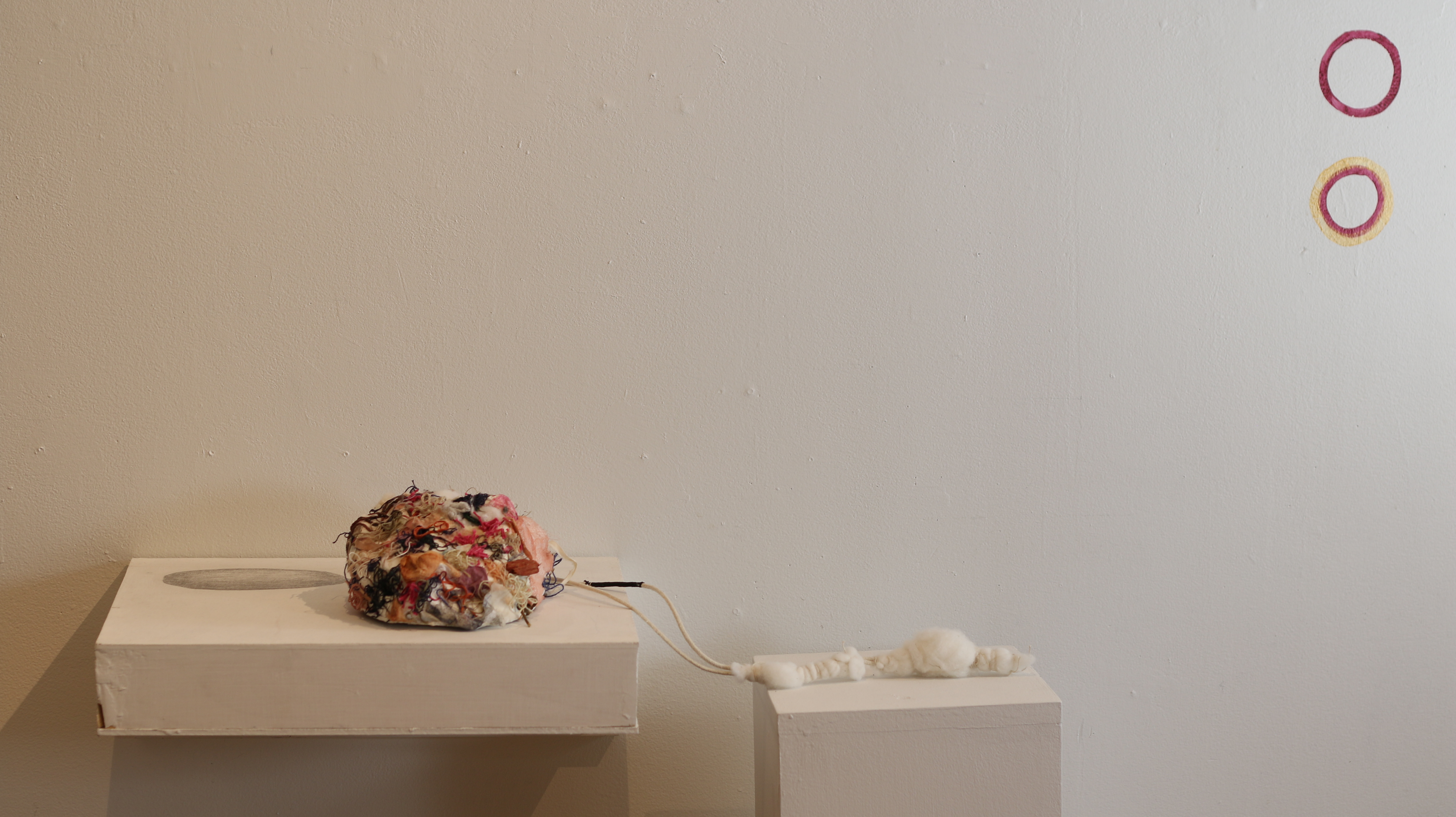 Installation view.