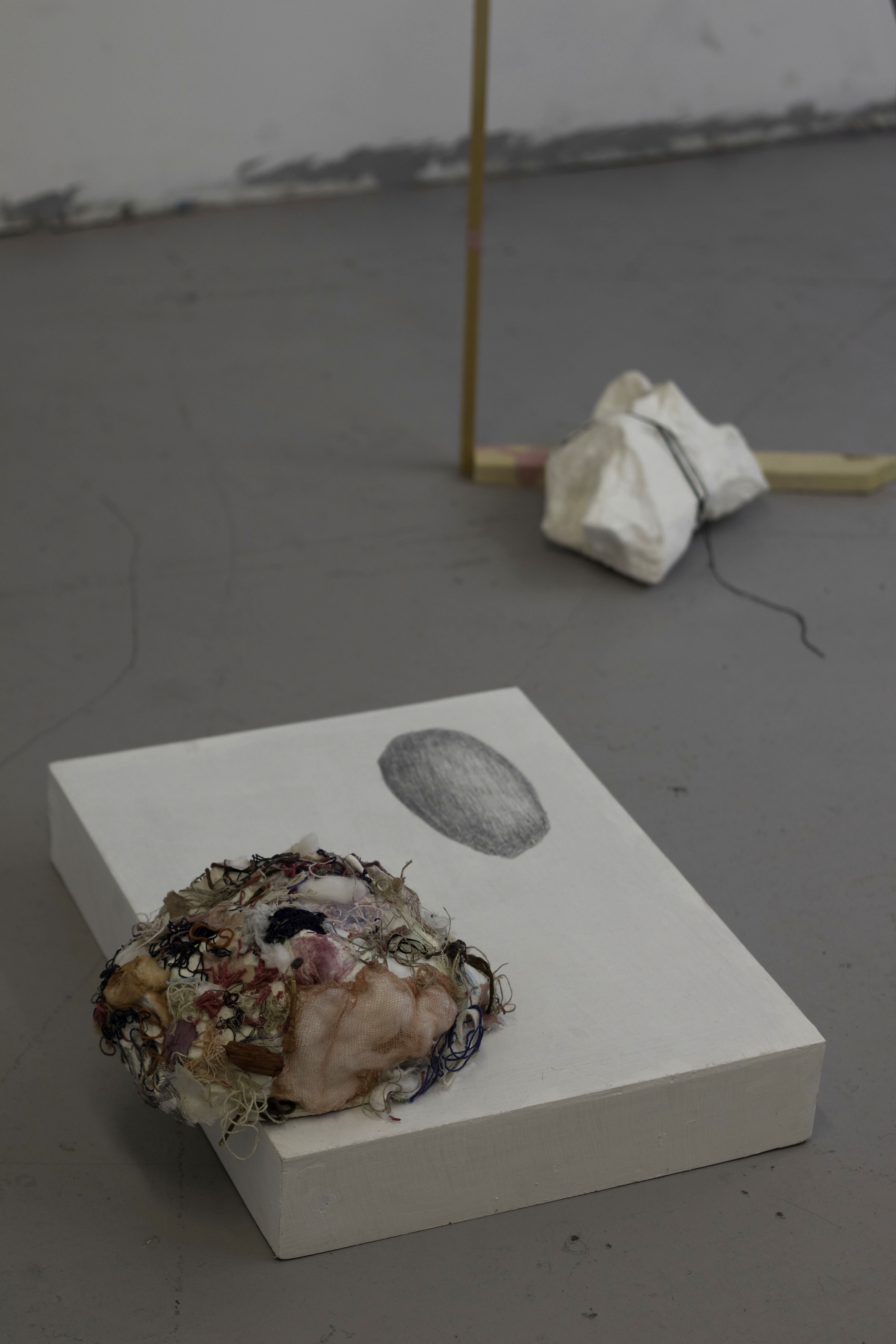 Installation view.