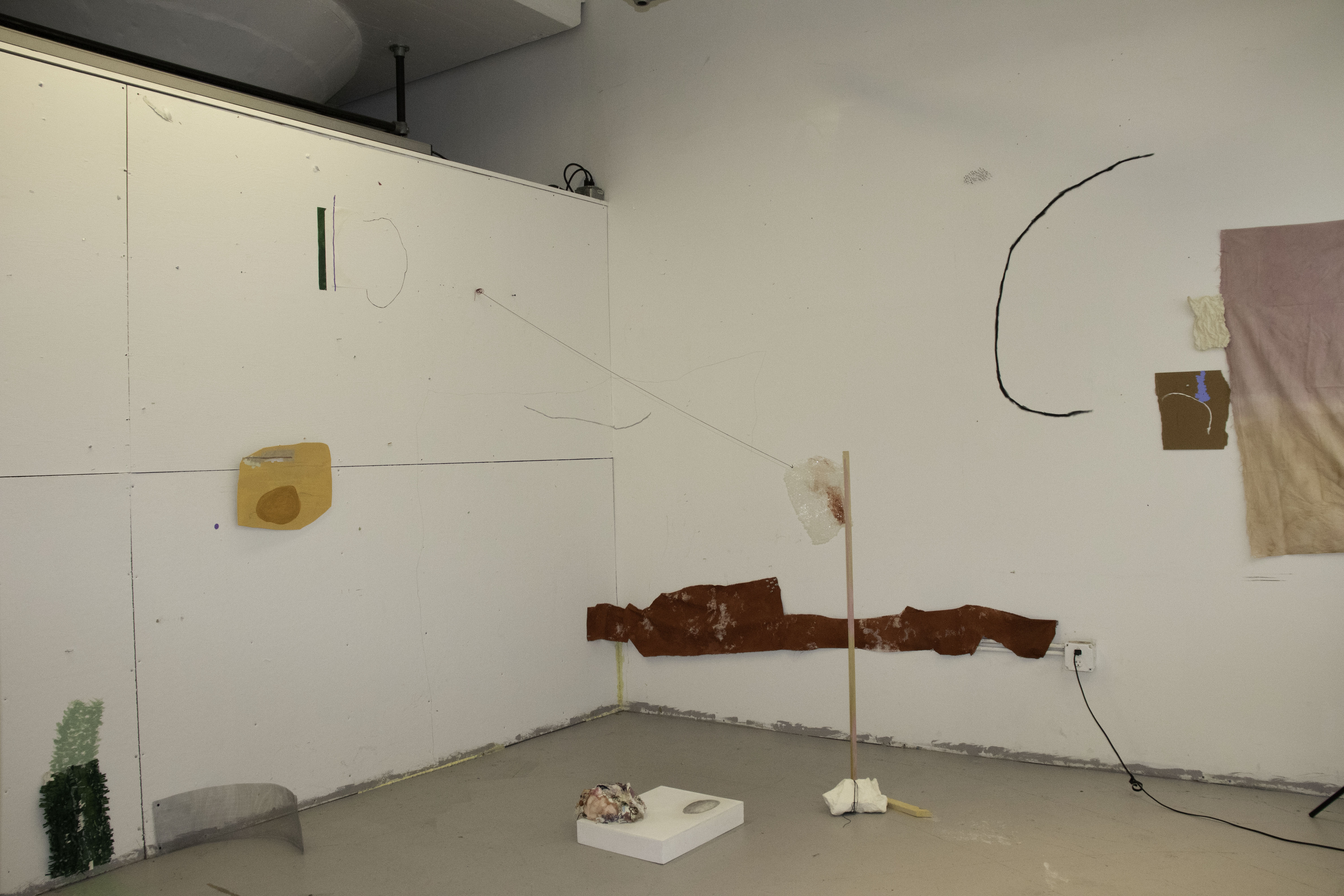 Installation view.