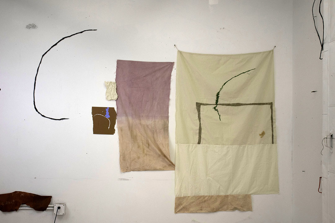 Installation view.